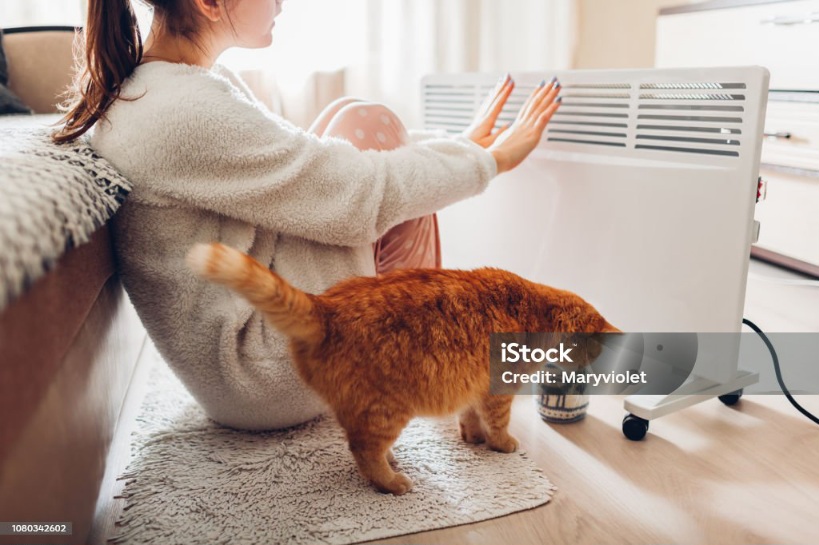 istockphoto 1080342602 1024x1024 1