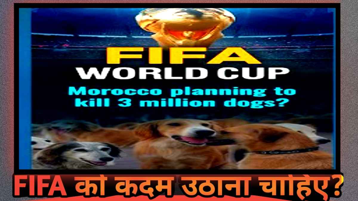 20250122 204430 11zon