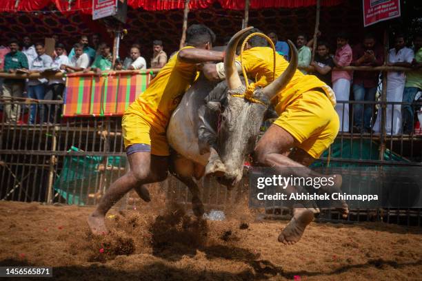gettyimages 1456565871 612x612 1